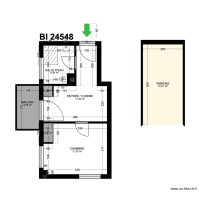 BI 24548