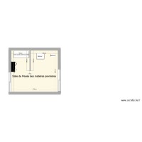 Plan sallepesée