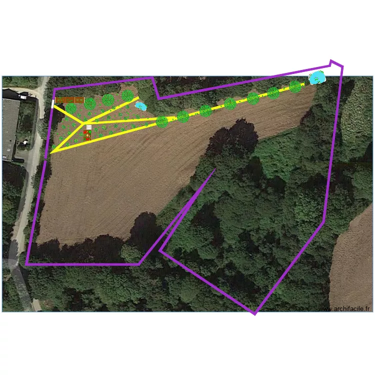jardin foret. Plan de 