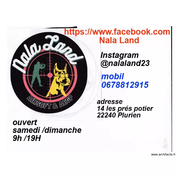 FLYER. Plan de FLYER. Plan de