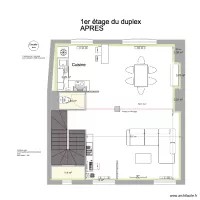 CARNOT DUPLEX APRES