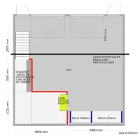 IMPLANTATION DANDY BEAR