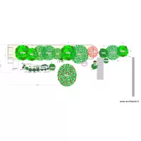 parterre gauche arbustes petits