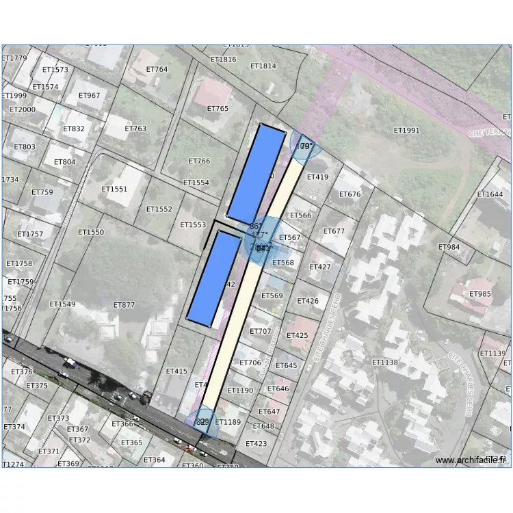 grand bois . Plan de 