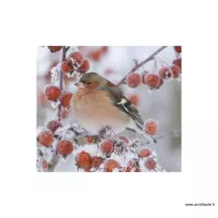 l'oiseau 