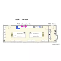 projet 3   P203 labo et bureau