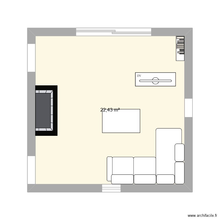 salon. Plan de 1 pièce et 22 m2