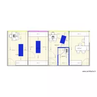 Plan Sauvegarde Lyon Dr BORGNAT Bis