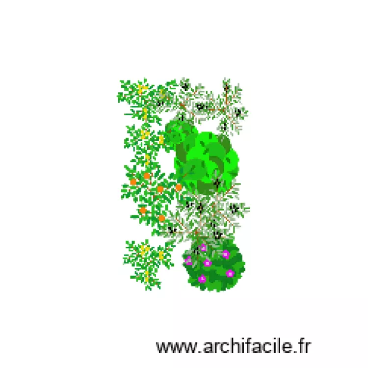 Parterre. Plan de Parterre. Plan de