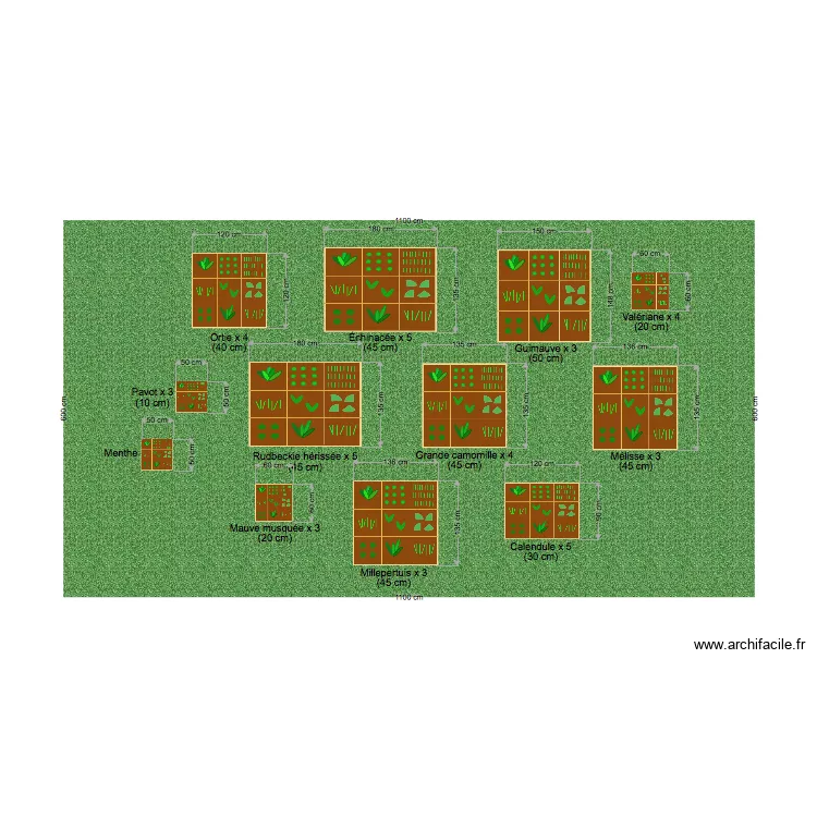 Jardin floral. Plan de 