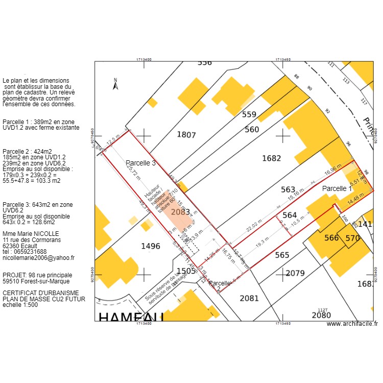 Plan de masse nouvelle division. Plan de 0 pièce et 0 m2