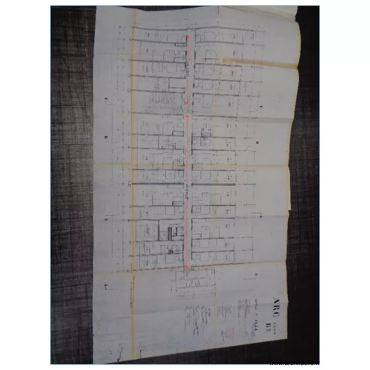 cacahette. Plan de 