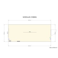 MODULE 21809G