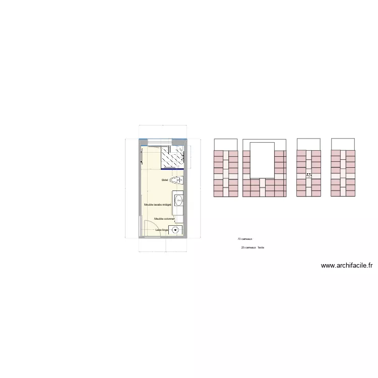 Salle de Bains RDC futur douche 100 x100. Plan de 