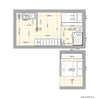 TNv1