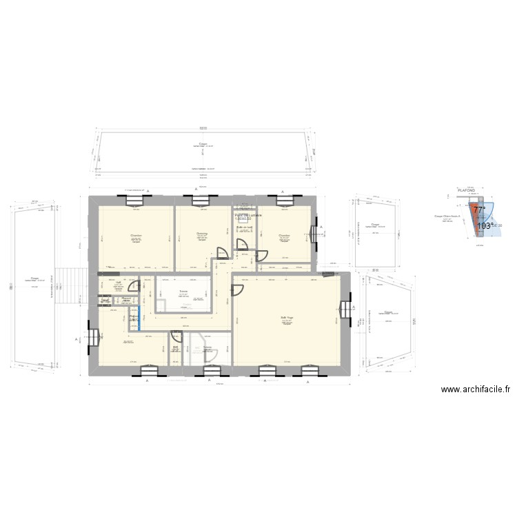 PAWELKI. Plan de 41 pièces et 515 m2