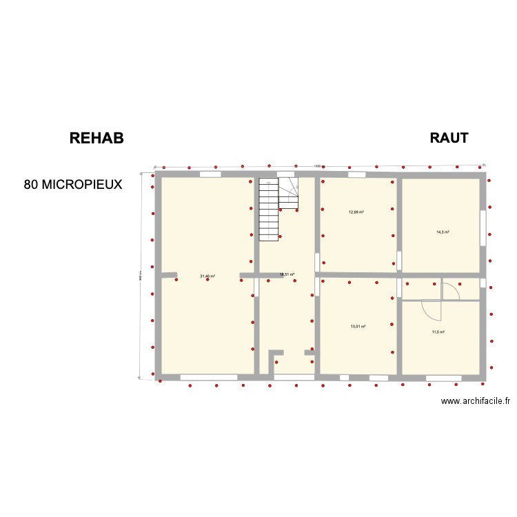 RAUT 55400 FOAMEIX. Plan de 0 pièce et 0 m2