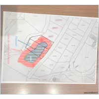 TERRENYS A INCLES CANARO CANILLO