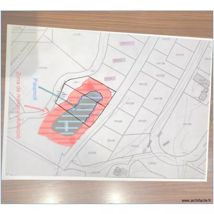 TERRENYS A INCLES CANARO CANILLO. Plan de 