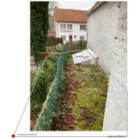 DP6 : Insertion Graphique