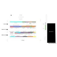 PDM 2019 RUN  MARCHE LH