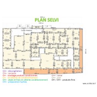 SELVI 2