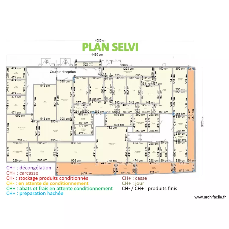 SELVI 2. Plan de 