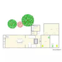 plan type