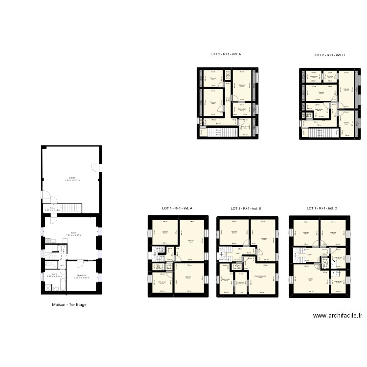 Maison Lots 1 et 2 R+1. Plan de 48 pièces et 332 m2