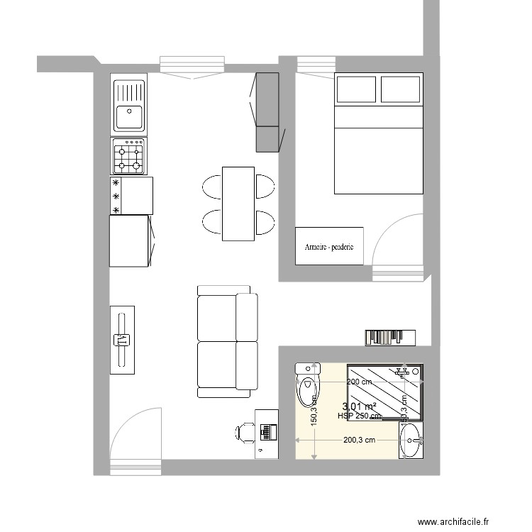 Plan studio de 30m2. Plan de 1 pièce et 3 m2