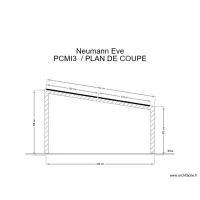 neumann plan de coupe
