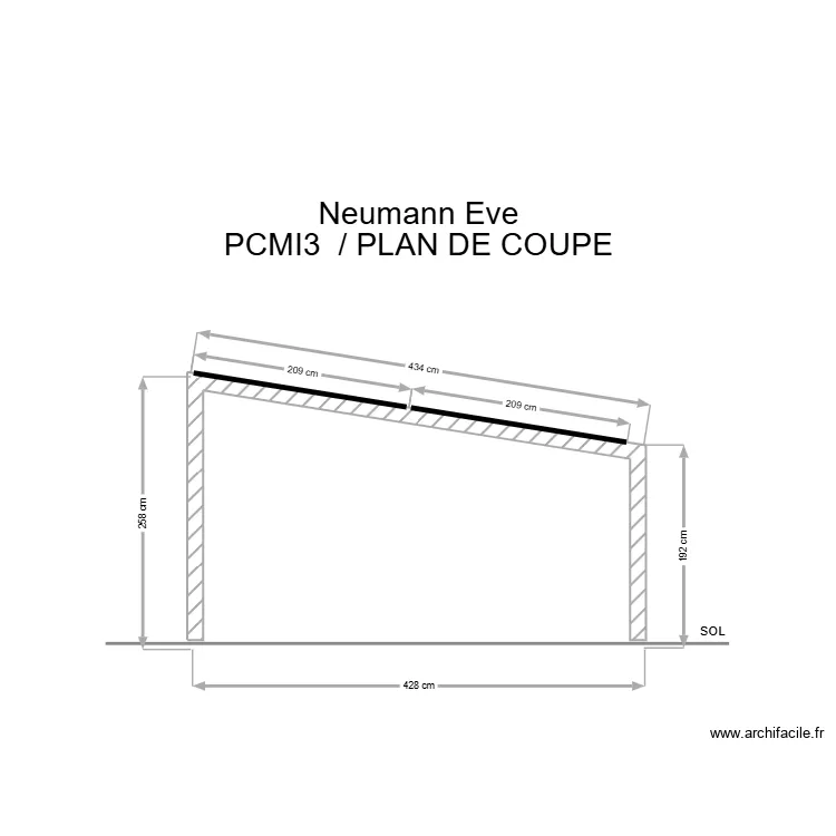 neumann plan de coupe. Plan de 
