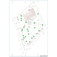 croquis jardin muscadelle