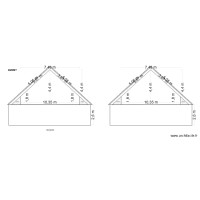 Extension