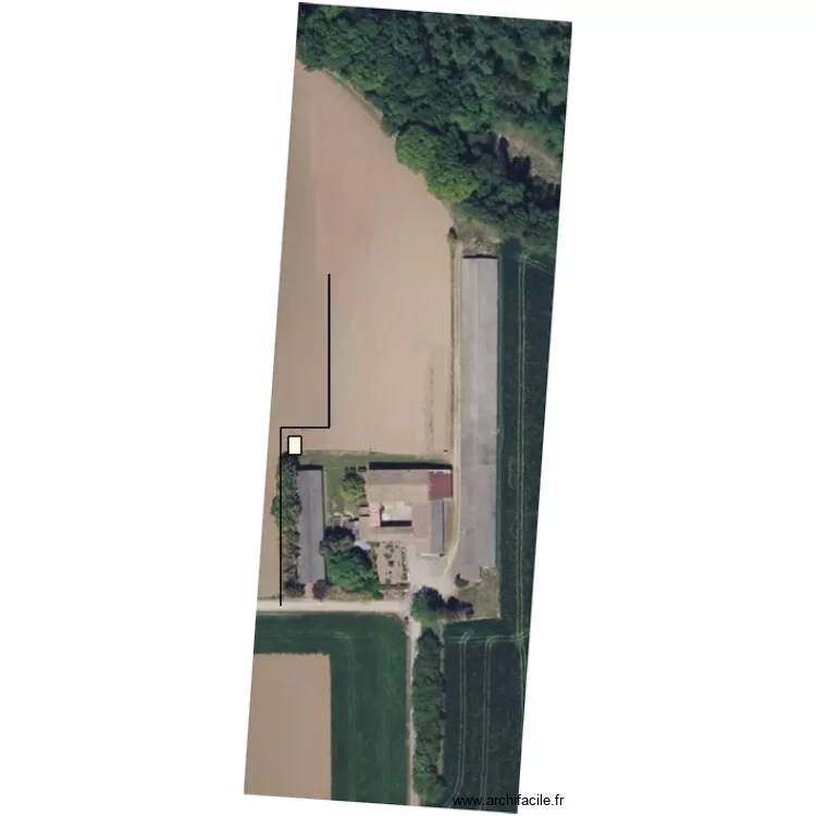 fausse spetique. Plan de 