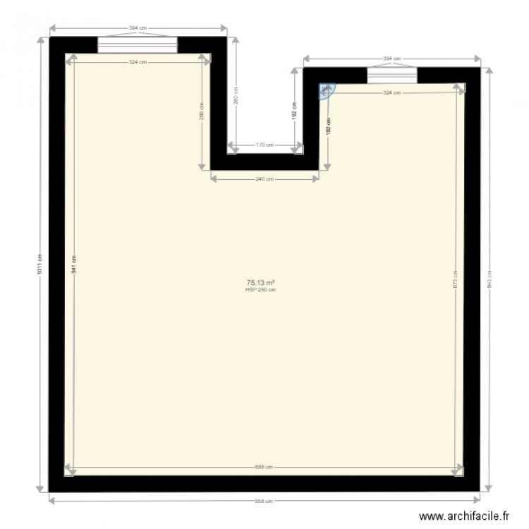 78 BIS FOCH V2. Plan de 1 pièce et 75 m2