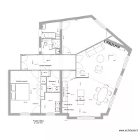 de zelicourt projet 2