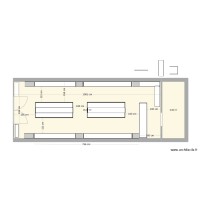 PLAN SUNGLASSES