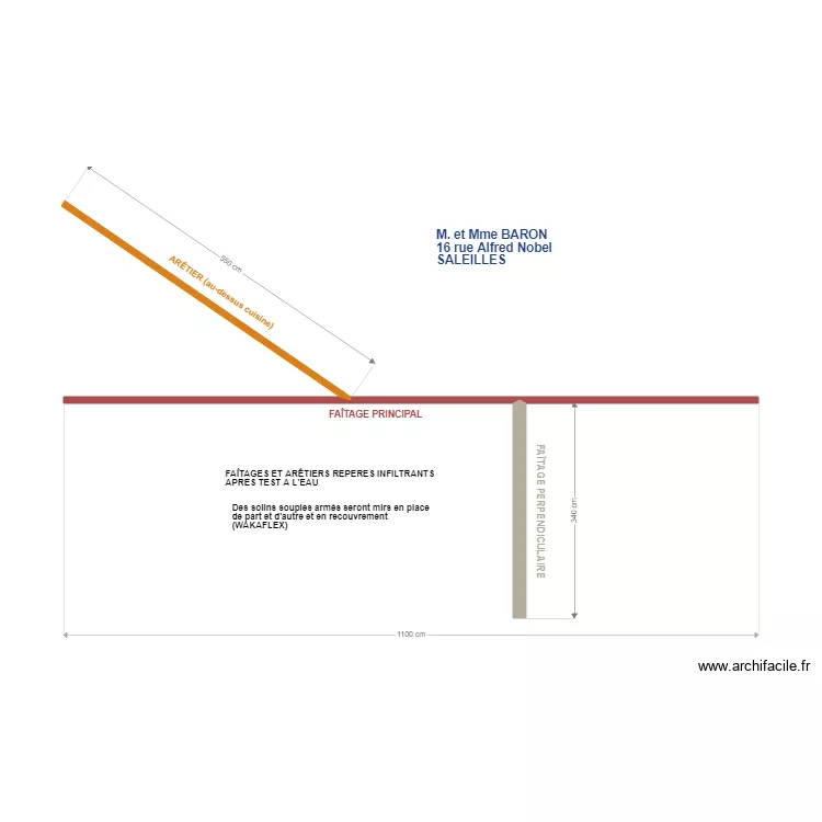 BARON Saleilles. Plan de 