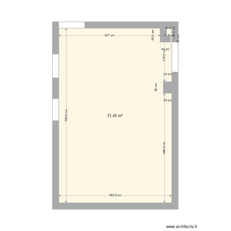 projets cuisine. Plan de 1 pièce et 31 m2