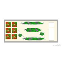 plante