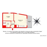 BI 20493-