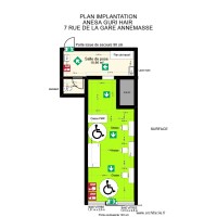 ANESA GURI HAIR IMPLANTATION 1.2