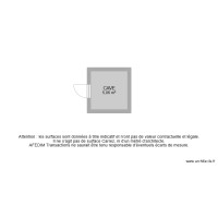 BI 29020-