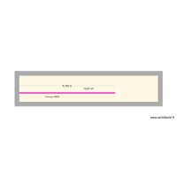 CAPPELLINI - CANIVEAU