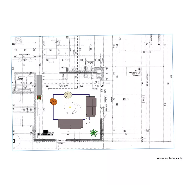 Salon. Plan de 