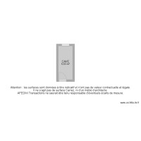 BI 20506 - 
