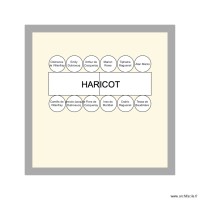 Haricot