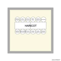 Haricot