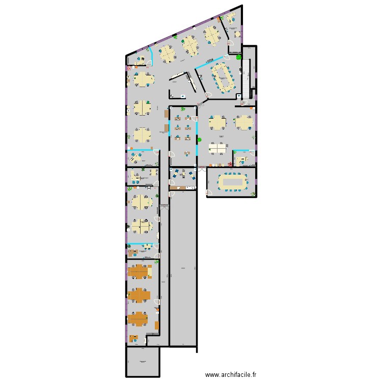 Plan PFS. Plan de 19 pièces et 1091 m2